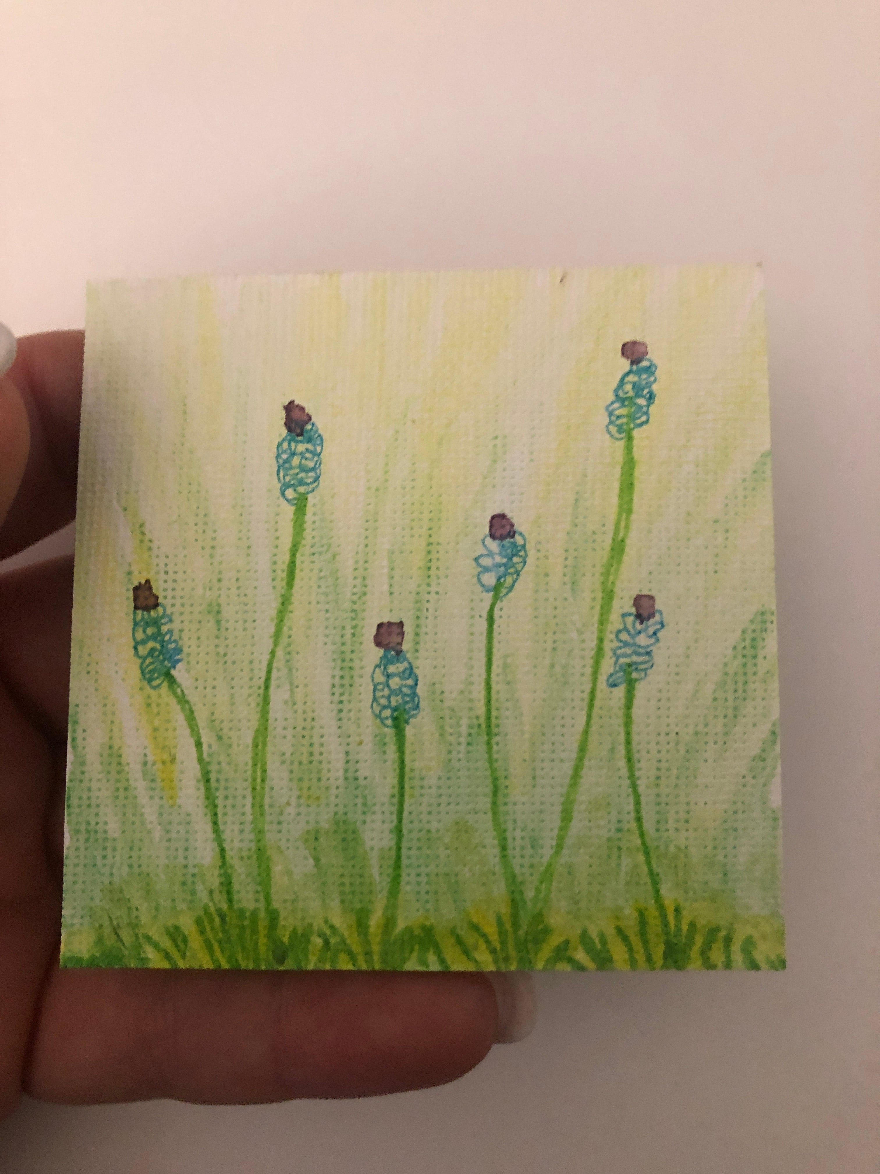 #023-Six Stupendous Florals