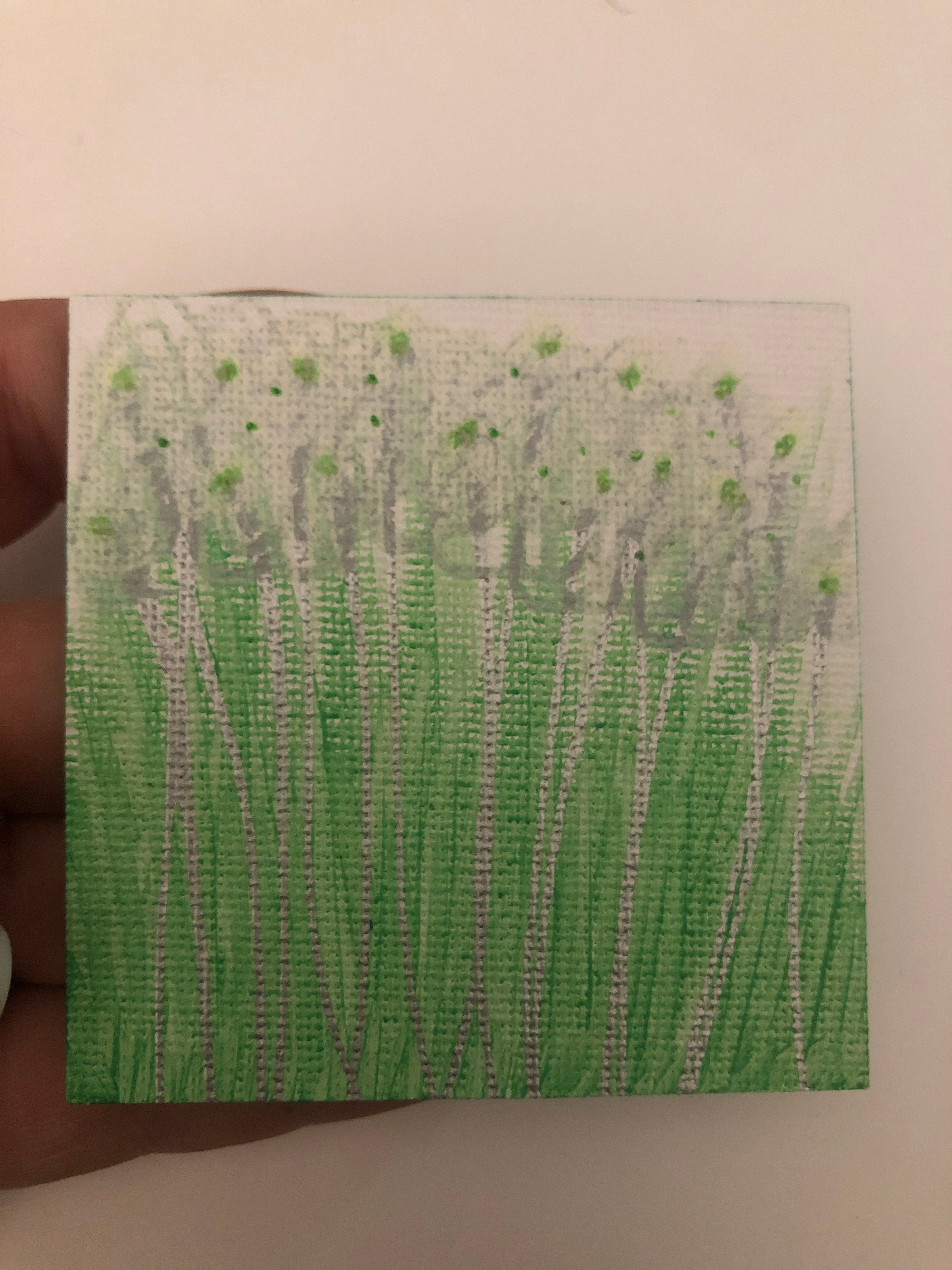 #045-Silver Stem Daisies in Green