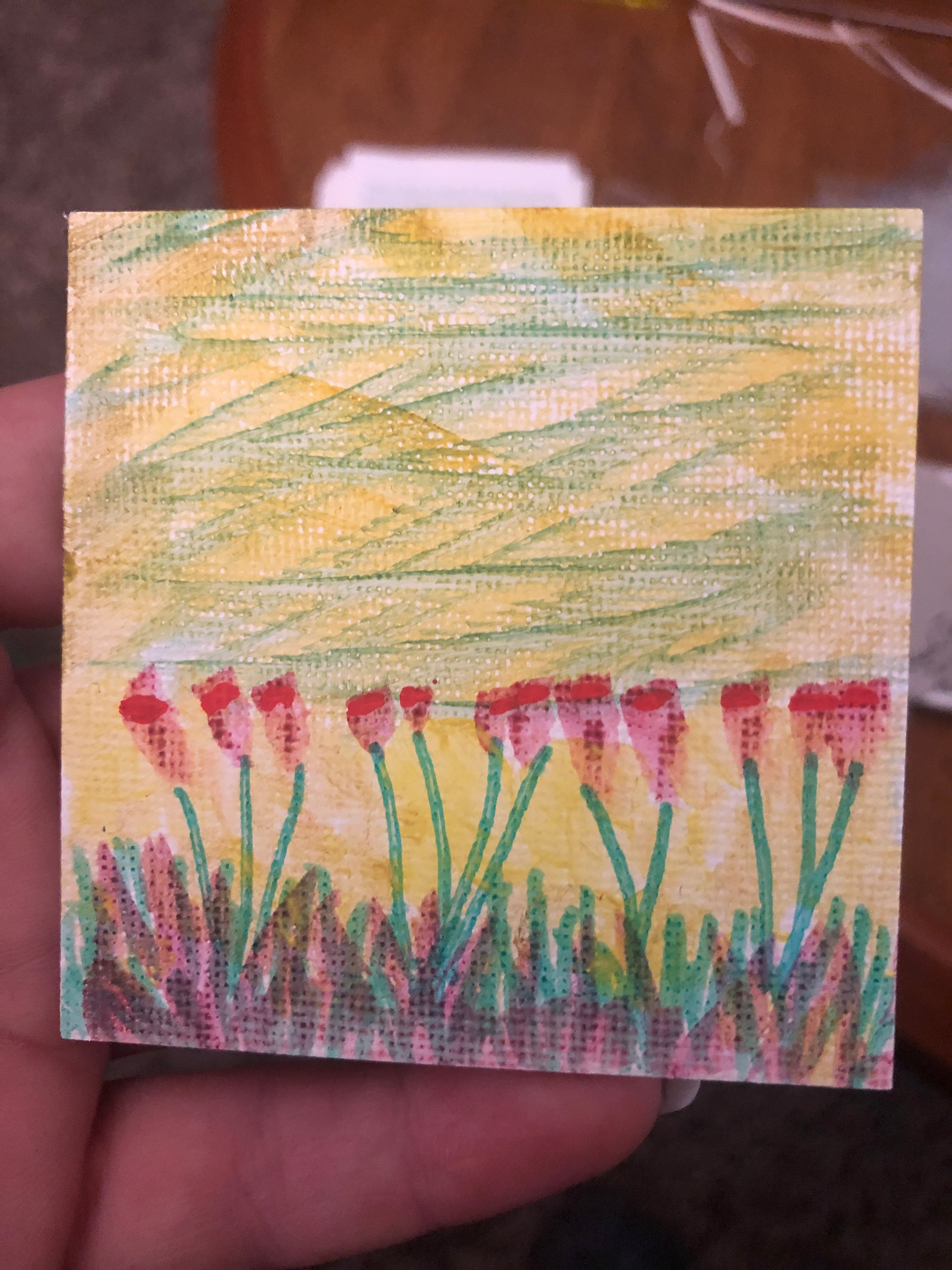 #019-A Dozen in Sunny Daylight